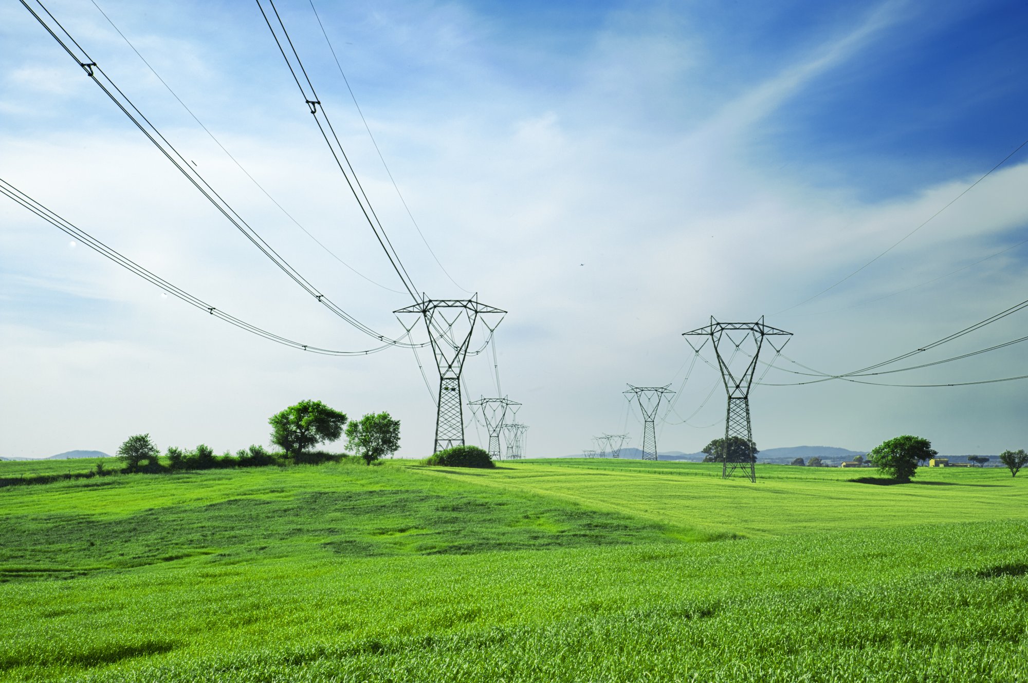 Electricity grid field - Stock